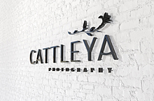 Cattleya Photography LOGO
