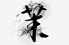 【乐道品牌设计】2016食品拍摄合集美食详情设计中国风美食合集牛肉 粽子 奶茶 坚果