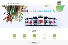 网站