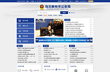 2017政务网站设计
