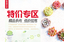特价主图