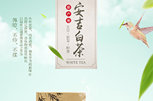 茶叶 铁观音，茶，白茶，安吉白茶，茶叶 创意 文艺 简约 大气