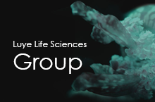 Luye Life Sciences Group-绿叶集团页面改版