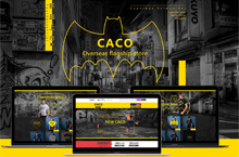 coco 电商网页设计