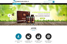星瑞医药生物技术有限公司企业网站设计