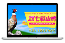养殖业官方网站banner