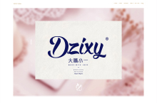 DZIXY品牌VI设计-智辰视觉设计出品