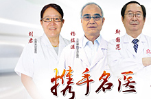 专家团队