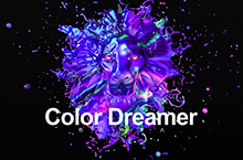 Color Dreamer 色彩种梦人（附创作思路GIF）