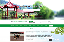大型电商协会网站