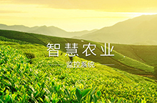 翔龙云商