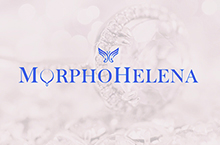 morpho helena 标志设计