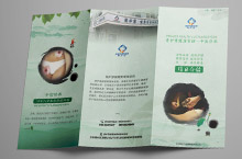 中医健康养生调理宣传折页设计