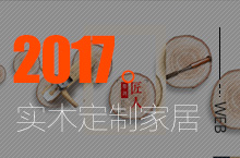 2017定制家居网站