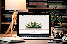 多肉官网 页面web design