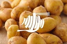 农产品食品logo设计