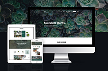 Succulents Web Design