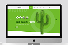 植物网页设计