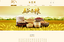 网页