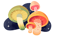 AI绘制蘑菇插画