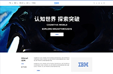 IBM官网