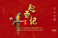 2018婚纱摄影春节活动