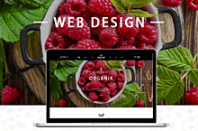 水果网页设计