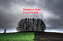 Demand side platform