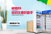 首页品牌展示冷柜冰柜商用