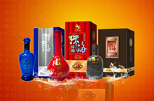 企业网站两枚..