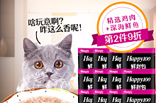 猫咪零食