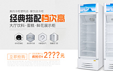 立式展示柜冰柜冷柜饮料水果鲜花冷柜