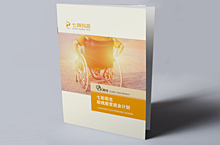 七彩阳光 ——助残脱贫就业计划画册设计