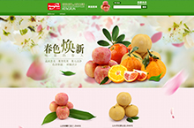 恒润水果店铺首页设计