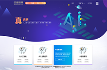 公司官网