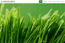山东绿凯生物网站建设与网页设计
