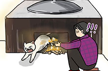 冬日大菜-如何烧烤一只猫