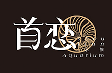 首恋水族|品牌标识 logo设计展示方案（飞机稿）
