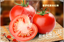 普罗旺斯水果西红柿主图