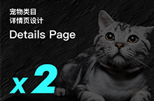 宠物类目 猫粮猫罐头/豆腐猫砂 详情页