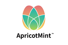 ApricotMint品牌设计logo设计vis系统