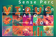 Sense Perception LABORATORY——