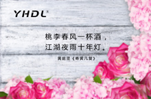 深圳引航动力-网站设计-网站推广-网站排名-网站优化