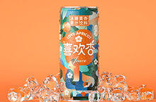喜鹊包装设计实验室-杏汁果汁饮料包装设计