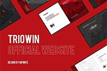INFINITE - TRIOWIN WEB - 传统类官网设计