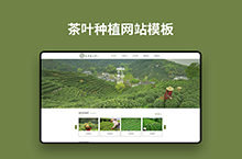 茶叶种植网站模板