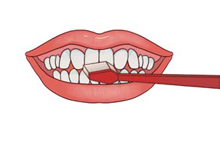 正确刷牙动作，牙齿口腔医疗 牙齿 牙齿矫正 牙齿类型