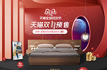 双11预售