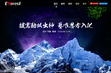 唯思新版本网站设计