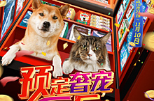 首页
